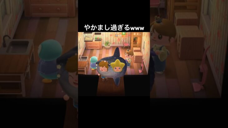 フラッペ｢早く帰って｣#あつまれどうぶつの森 #あつ森 #ゲーム実況 #shorts