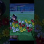 サソリを捕まえたい!〔あつ森、あつまれどうぶつの森〕#shorts
