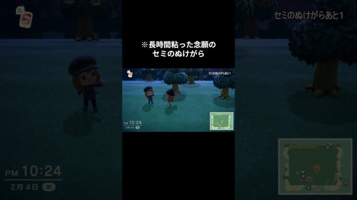 【あつ森】いま必要なものに限って住民がほしがる #shorts