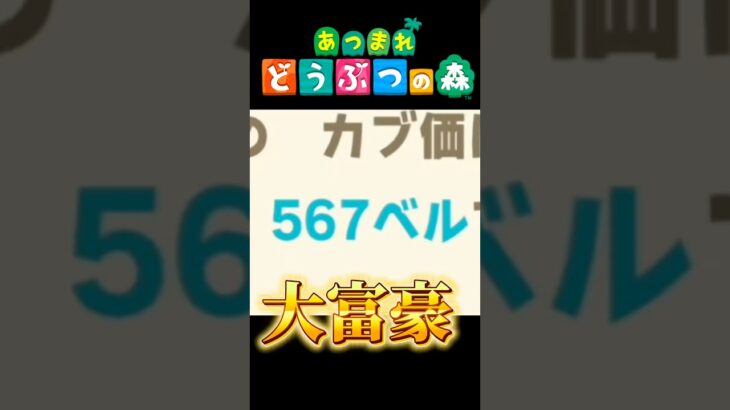 カブで高額買取で大金持ち！！【あつまれどうぶつの森】 #ゲーム実況 #ゲーム #あつ森 #どうぶつの森 #あつまれどうぶつの森 #shorts