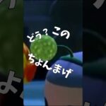 【ちょんまげ】さいこー！【しか勝たん】　#どうぶつの森  #あつ森  #あつまれどうぶつの森  #あつもり #豆知識 #小ネタ #shorts