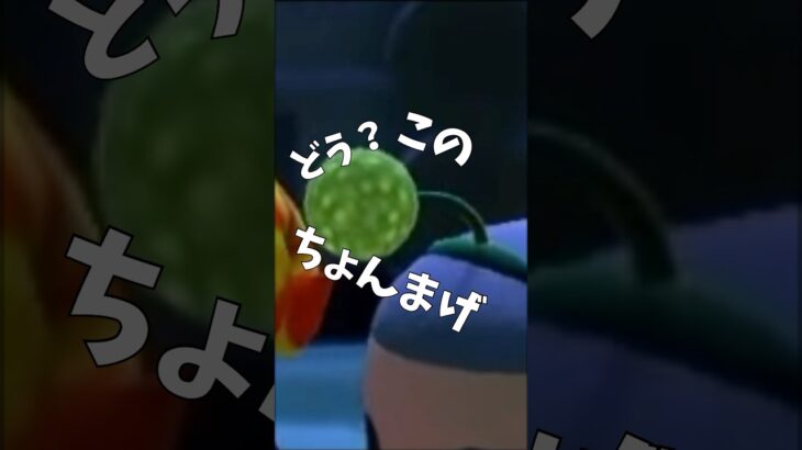 【ちょんまげ】さいこー！【しか勝たん】　#どうぶつの森  #あつ森  #あつまれどうぶつの森  #あつもり #豆知識 #小ネタ #shorts