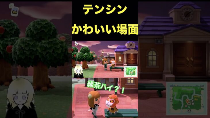 【飲み雑談】オメェ緑ハイ飲んでんのか？！　#あつ森 #あつまれどうぶつの森 #shorts