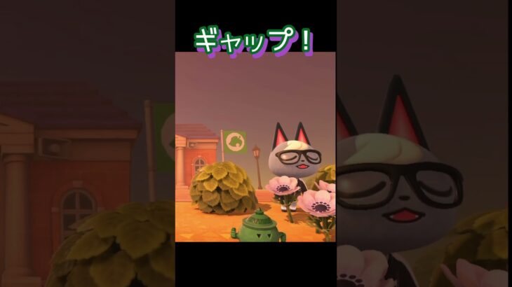 ギャップ萌えとはこのこと #あつ森 #あつまれどうぶつの森 #ゲーム実況 #shorts