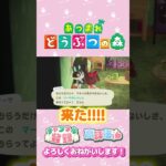【あつ森】お写真は嬉しい　マーサちゃん　#shorts   #animalcrossing