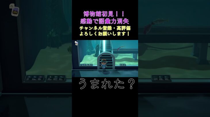 あつ森 博物館初見！！ 感動で語彙力消失  #shorts  #あつまれどうぶつの森 #あつ森  #animalcrossing