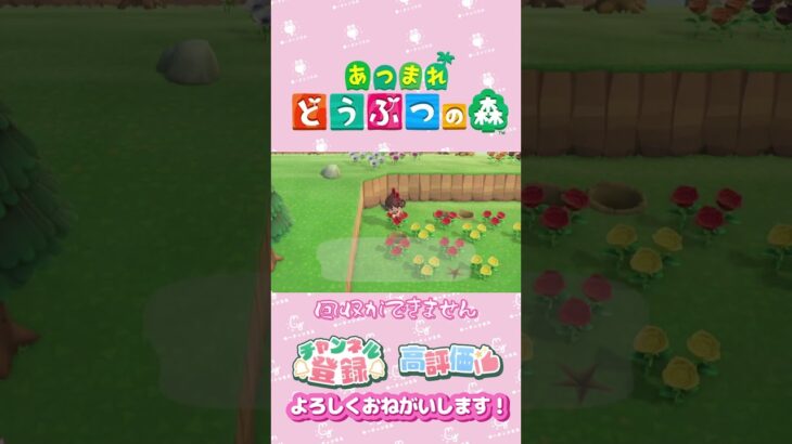 【あつ森】お花の成長と金バラ　#shorts   #animalcrossing