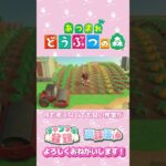【あつ森】ハムちゃんと配信のトラブル　#shorts   #animalcrossing