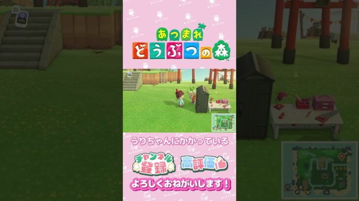 【あつ森】カブいくらなら買う？？　#shorts   #animalcrossing