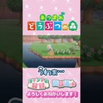 【あつ森】落とし穴ｗ　#shorts   #animalcrossing