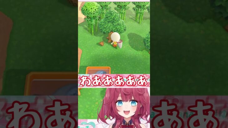 ハチの引きがよすぎる🐝 #shorts #あつ森 #どうぶつの森 #vtuber #あつまれどうぶつの森 #切り抜き