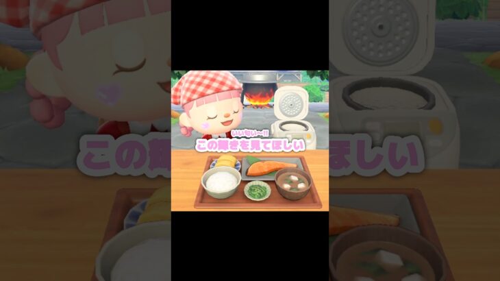 炊飯器は色によって中身が違います…？！？！#あつ森 #どうぶつの森 #あつまれどうぶつの森 #どう森 #shortvideo #short #shorts #パエリア #あつ森すいはんき#炊飯器