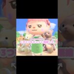 チビ+ナミ+ダイ=トクダイちゃん…？！？！#あつ森 #どうぶつの森 #あつまれどうぶつの森 #どう森 #shortvideo #shorts #short #くまのトクダイちゃん#ミッチェル