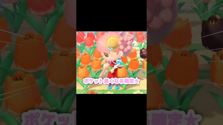 まぁ、たまたまですよ…？！？！#あつ森 #どうぶつの森 #あつまれどうぶつの森 #どう森 #shortvideo #shorts #short #カメムシ #あつ森博物館#博物館に寄贈#博物館