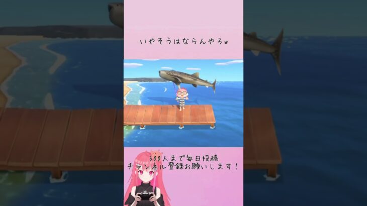 ジンベイザメ可愛いけどさぁ( ´＿＿＿＿＿＿` )#雪飴 #ゲーム実況 #あつ森 #あつ森switch #釣り #ジンベイザメ