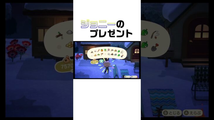 ジョニーのプレゼント　#あつ森 　#switch