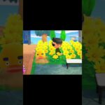 あつ森　リチャードとブーケと落とし穴