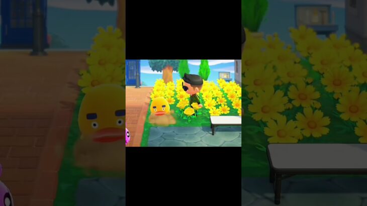 あつ森　リチャードとブーケと落とし穴