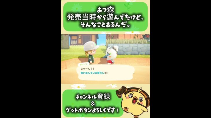【＃あつ森　ショート動画】　発売当時から遊んでたけど、そんなことあるんだ。