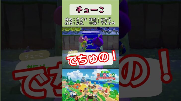 【#あつ森 】チューこ【#あつまれどうぶつの森 】