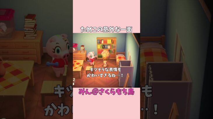 【あつ森】ためこのルーティンが可愛すぎる🥺💕