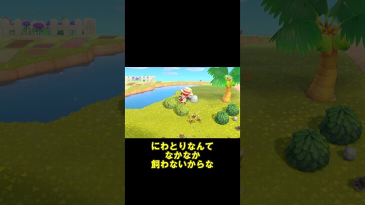 【あつ森】【切り抜き】【ゆっくり実況】猫がいい匂いになる条件＝きなこの場合#あつ森 #あつまれどうぶつの森 #ゆっくり実況 #日常の話 #聞き流し#猫