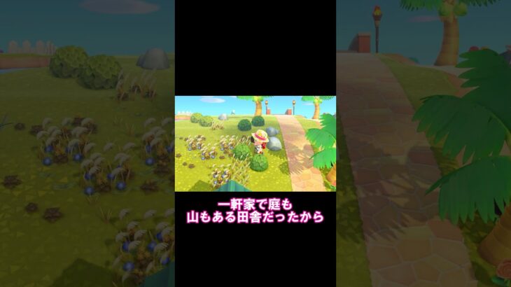 【あつ森】【切り抜き】【ゆっくり実況】動物に癒やされるきなこちゃん。あつ森でもリアルでも癒やされています。#あつ森 #あつまれどうぶつの森 #ゆっくり実況 #日常の話 #動物 #動物園 #猫カフェ