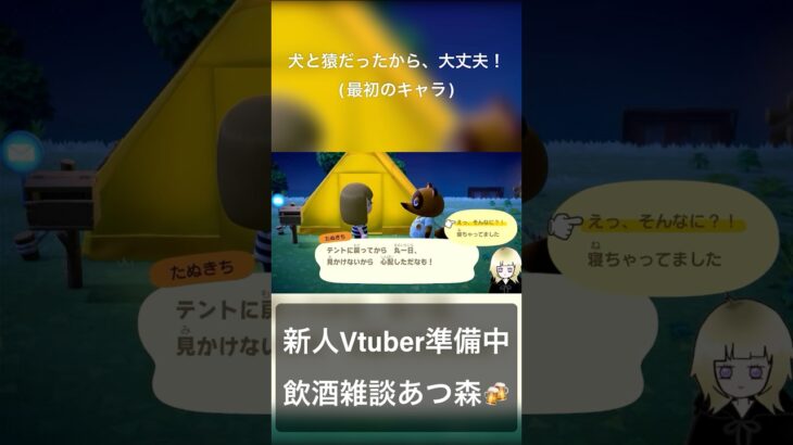 あつ森ってどうぶつに襲われんの？？？【あつ森／あつまれどうぶつの森】