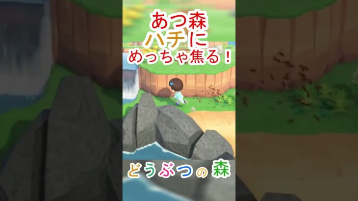 あつ森で突然ハチが！？大焦りして喋りまくる！【あつまれどうぶつの森】#あつ森 #あつまれどうぶつの森