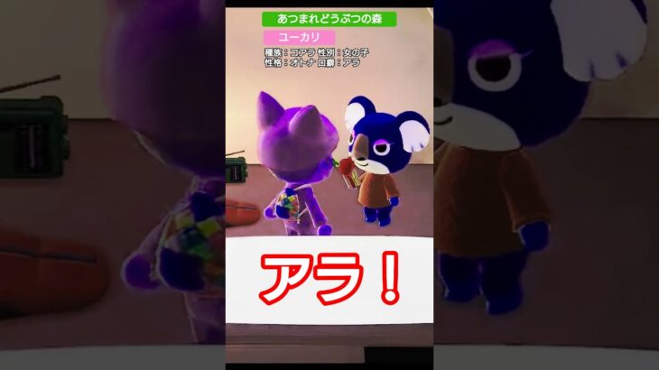 【#あつ森 】ユーカリ【#あつまれどうぶつの森 】