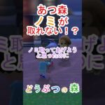 あつ森で全然ノミが取れなくて住民をたたきすぎちゃった！？【あつまれどうぶつの森】#あつ森 #あつまれどうぶつの森
