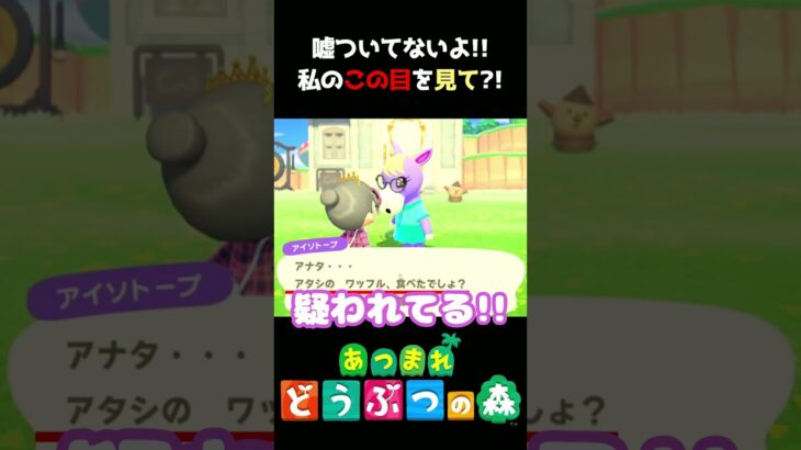 【あつ森】私のこの目を信じて!!