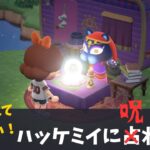 占いなんて信じない！！！【あつ森】