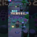【あつ森】雨の日小ネタ🤎🌧️
