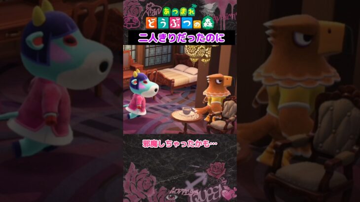 【あつ森】タイミング悪すぎて草