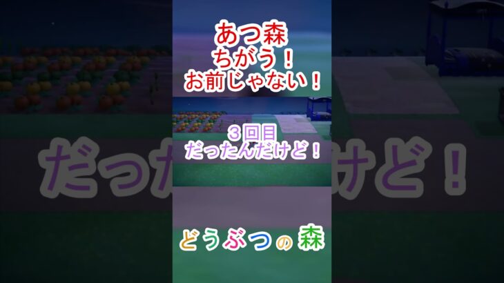 あつ森で呼んだキャラが返事してくれない！ｗ【あつまれどうぶつの森】#あつ森 #あつまれどうぶつの森