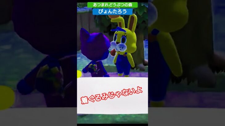 【#あつ森 】ぴょんたろう【#あつまれどうぶつの森 】