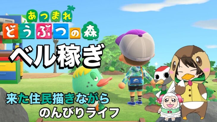 【朝活】土曜日の朝活あつ森今日のカブ最終日はいくらかな！　【あつまれどうぶつの森】「＃あつ森」