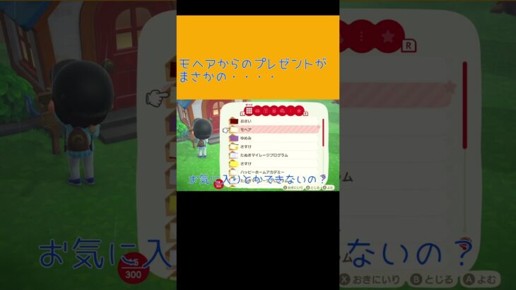 モヘアからのプレゼントがまさかの・・・ #あつ森 #ライブ配信 #あつまれどうぶつの森
