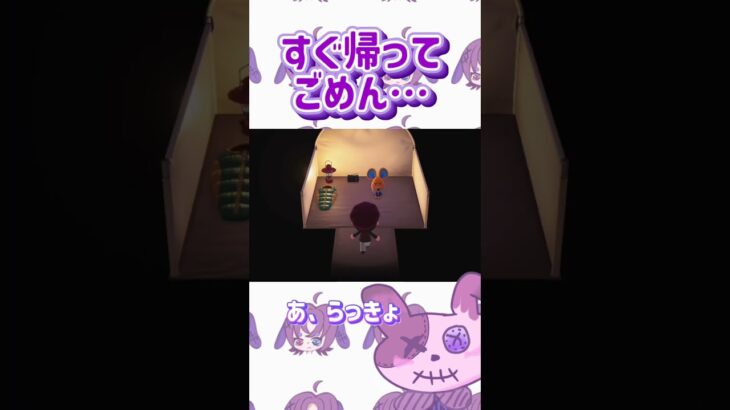 【あつ森】ほんまにごめん…