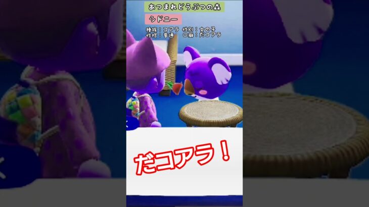 【#あつ森 】シドニー【#あつまれどうぶつの森 】