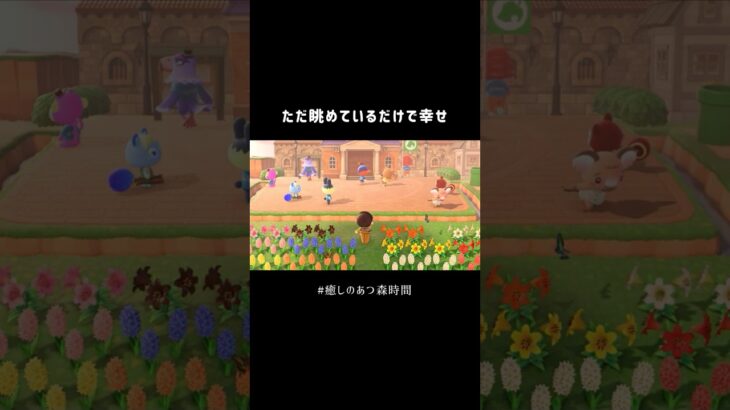 【あつ森】ただ眺めてるだけで幸せ🐾