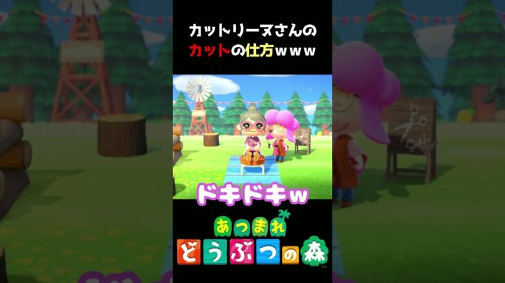 【あつ森】切り方不安やけどカットの腕は確か!!ｗ