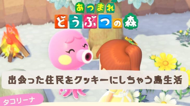 【あつ森】明日クッキーになっちゃうタコリーナちゃんとの島生活