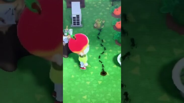 ゴールデンウィークあつ森(撮影日四月二十五日)