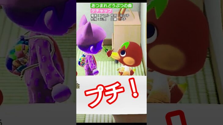 【#あつ森 】ケチャップ【#あつまれどうぶつの森 】