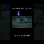 【あつ森】いいもの見つけたアイーダ様