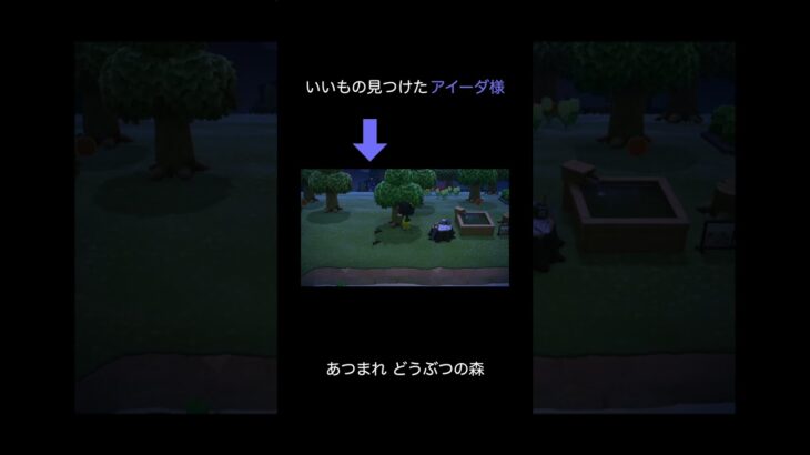 【あつ森】いいもの見つけたアイーダ様