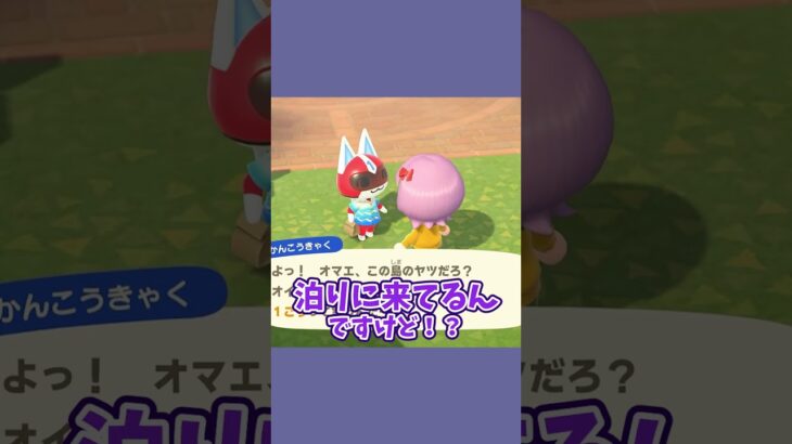１号と２号が秘密のお泊り！？ #あつ森  #あつまれどうぶつの森  #女性ゲーム実況