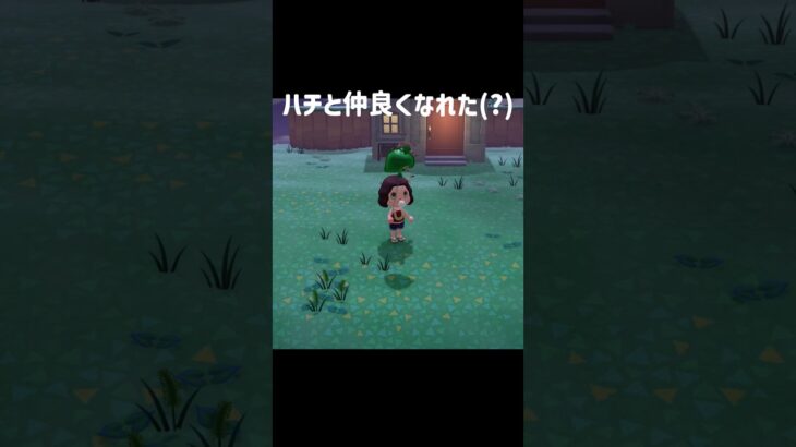 #あつまれどうぶつの森 #あつ森